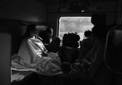 野外遇到狼群怎么办？生存指南与应对策略