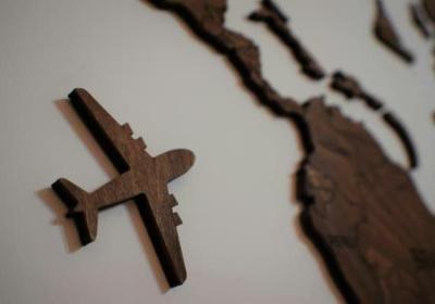 螃蟹如何空运？详解螃蟹空运的全流程与注意事项