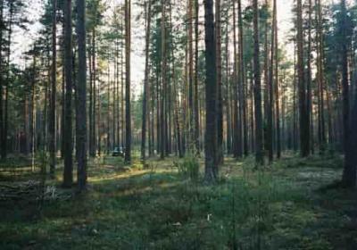 如何快速又整齐地收纳户外帐篷