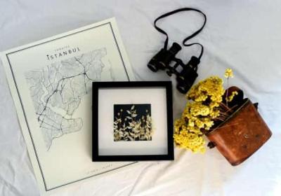 河南隐藏着哪些值得探秘的森林公园