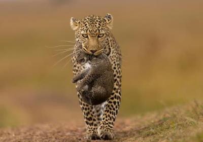 南宁市面积究竟有多大平方公里的数据是否包含水域