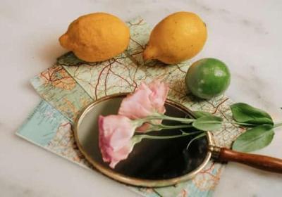 在2025年如何正确采摘成熟菠萝才能保持最佳风味