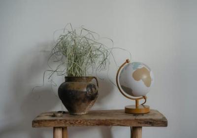 峡州国旅在2025年是否仍是国内游的首选品牌