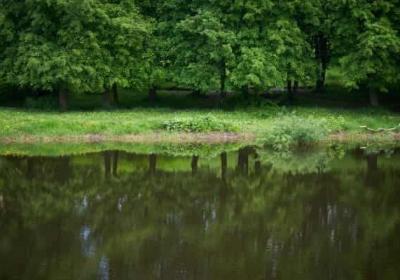 2025年去巴基斯坦旅行需要提前办理哪些手续