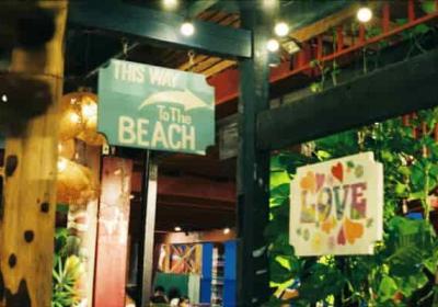 如何精准测量海拔高度有哪些专业软件可选