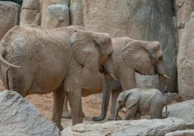 长沙南站停车怎么规划最省时省心