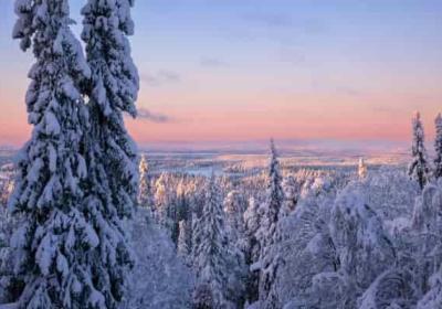 如何正确拼写关于国际的英文单词